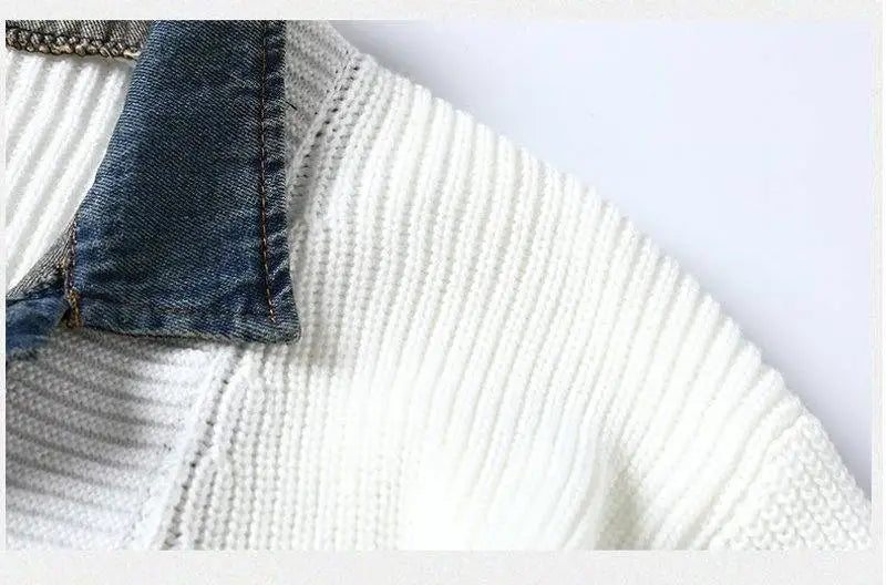 Ashford Signature Hybrid Cardigan